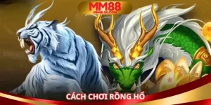 Cách chơi rồng hổ