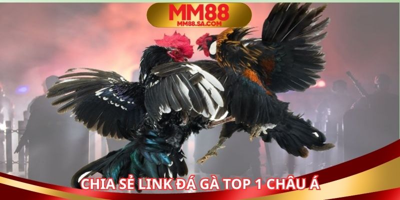 Chia sẻ link đá gà trực tuyến uy tín top 1 châu Á