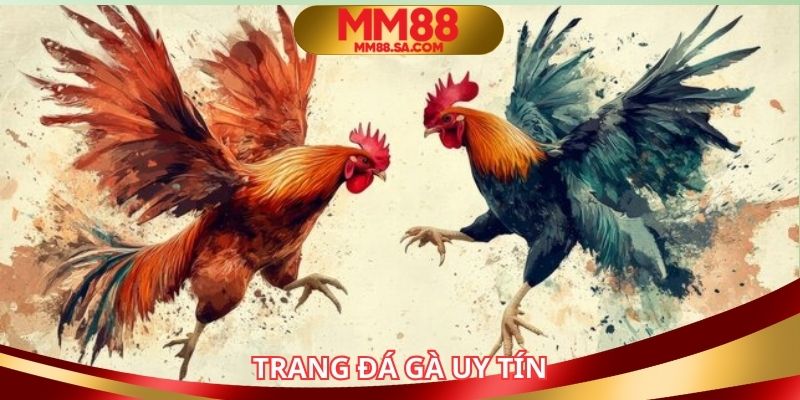 Trang đá gà uy tín